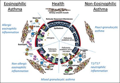 https://cdn.ncbi.nlm.nih.gov/pmc/blobs/ee4b/10911239/a6c3f588b217/ATM-19-1-g001.jpg