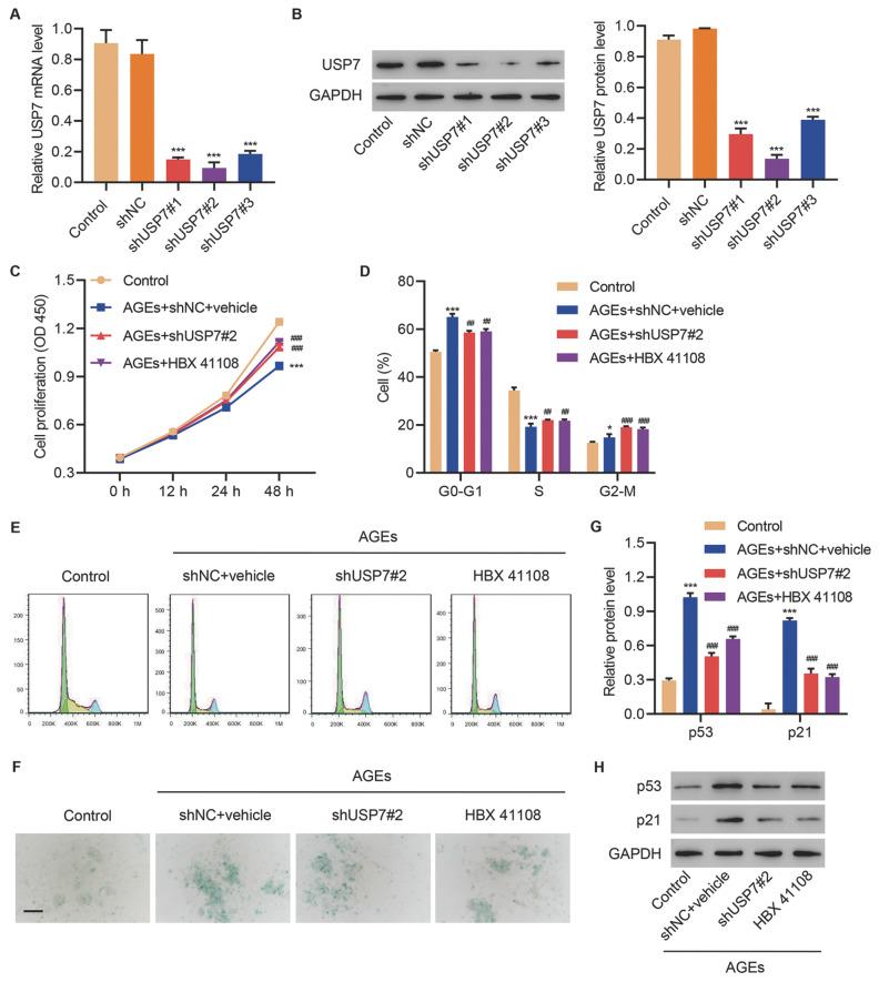 https://cdn.ncbi.nlm.nih.gov/pmc/blobs/ee4e/9828104/32b425feeb50/abbs-2021-490-t2.jpg