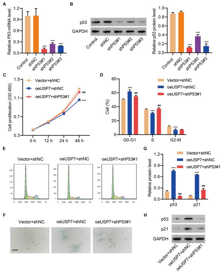https://cdn.ncbi.nlm.nih.gov/pmc/blobs/ee4e/9828104/a43510d48beb/abbs-2021-490-t4.jpg