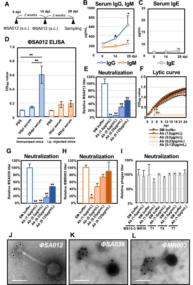 https://cdn.ncbi.nlm.nih.gov/pmc/blobs/ee52/9734660/22e6553eed19/41598_2022_25352_Fig5_HTML.jpg