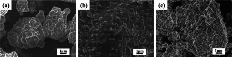 https://cdn.ncbi.nlm.nih.gov/pmc/blobs/ee53/11325424/53d6730827cf/ao4c04308_0003.jpg