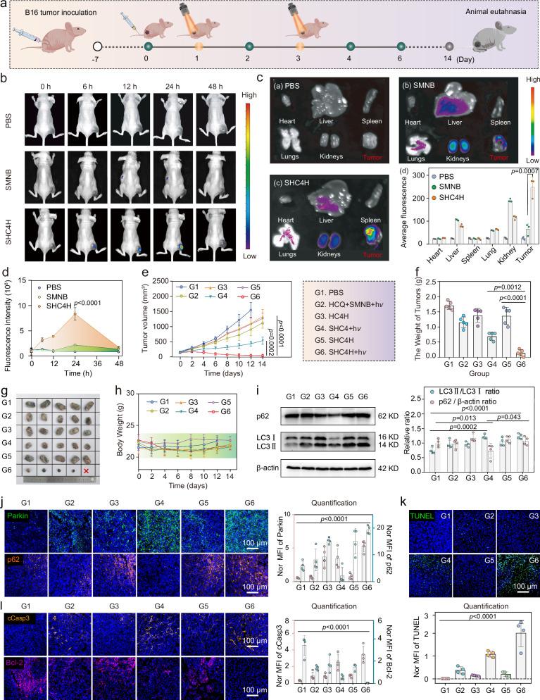 https://cdn.ncbi.nlm.nih.gov/pmc/blobs/ee53/11724902/7eb63a3ff1fa/41467_2025_55905_Fig7_HTML.jpg