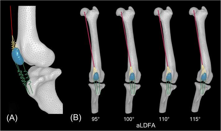 https://cdn.ncbi.nlm.nih.gov/pmc/blobs/ee53/7713038/dedd5d0662ba/12917_2020_2644_Fig5_HTML.jpg