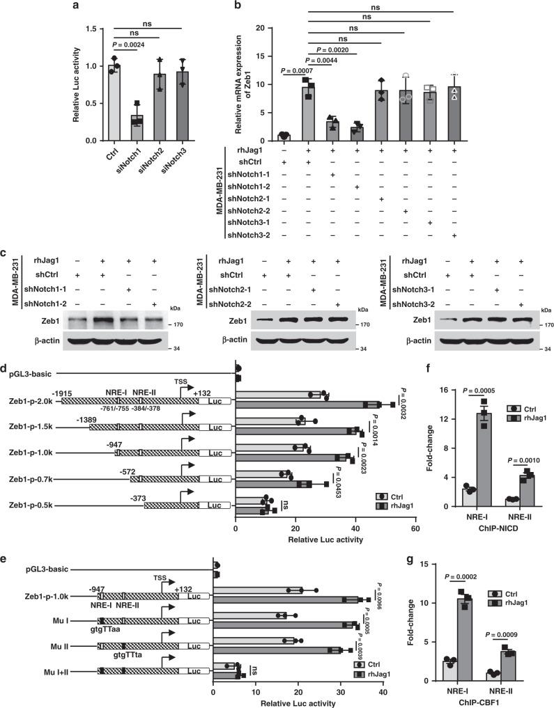 https://cdn.ncbi.nlm.nih.gov/pmc/blobs/ee55/7552407/0df5fb142653/41467_2020_18860_Fig3_HTML.jpg