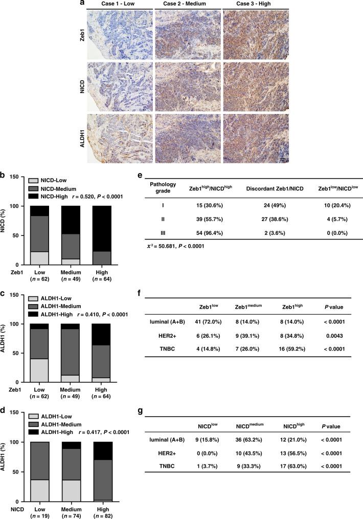 https://cdn.ncbi.nlm.nih.gov/pmc/blobs/ee55/7552407/b474c756417d/41467_2020_18860_Fig7_HTML.jpg
