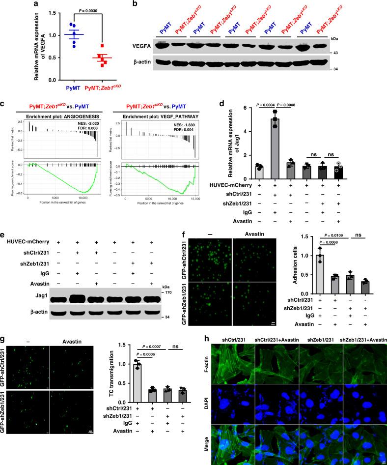 https://cdn.ncbi.nlm.nih.gov/pmc/blobs/ee55/7552407/cef7cba06c83/41467_2020_18860_Fig5_HTML.jpg