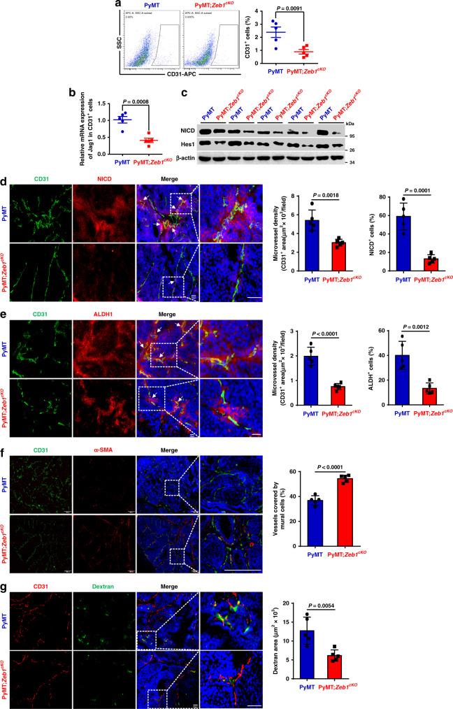 https://cdn.ncbi.nlm.nih.gov/pmc/blobs/ee55/7552407/d8ab002cd3e7/41467_2020_18860_Fig6_HTML.jpg