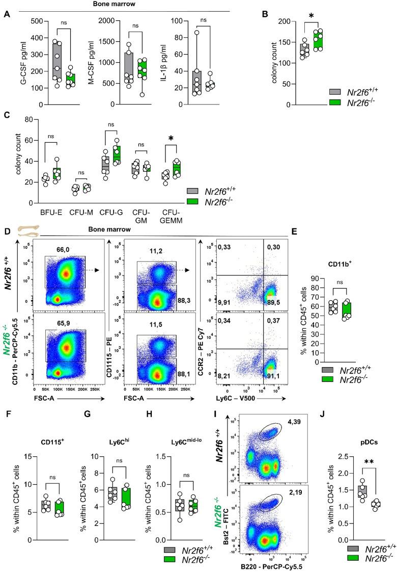 https://cdn.ncbi.nlm.nih.gov/pmc/blobs/ee56/11747239/3a05574b81e0/fimmu-15-1404805-g005.jpg