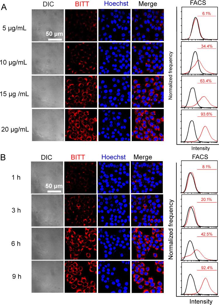 https://cdn.ncbi.nlm.nih.gov/pmc/blobs/ee56/12394748/1759eb1265f0/IJN-20-10177-g0003.jpg