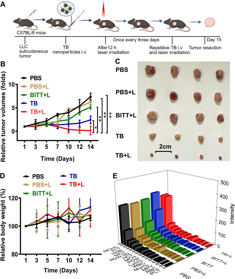 https://cdn.ncbi.nlm.nih.gov/pmc/blobs/ee56/12394748/49150ab4a3ec/IJN-20-10177-g0006.jpg