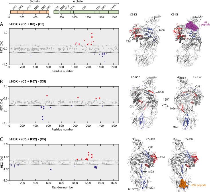https://cdn.ncbi.nlm.nih.gov/pmc/blobs/ee57/7972453/588d9ec50d6e/elife-63586-fig6.jpg