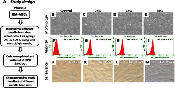 https://cdn.ncbi.nlm.nih.gov/pmc/blobs/ee58/3543333/d49c738f5286/1479-5876-10-229-1.jpg