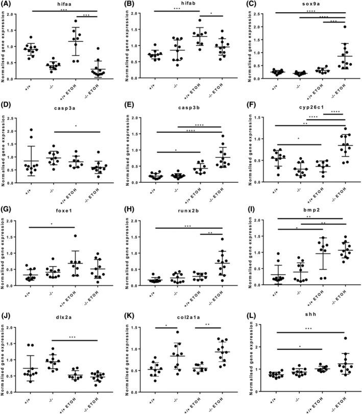 https://cdn.ncbi.nlm.nih.gov/pmc/blobs/ee59/11877993/2e066904008b/DVDY-254-240-g001.jpg