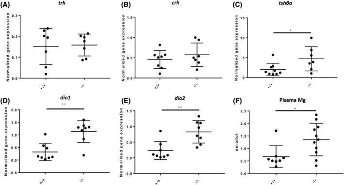 https://cdn.ncbi.nlm.nih.gov/pmc/blobs/ee59/11877993/f5c75ffb803d/DVDY-254-240-g003.jpg