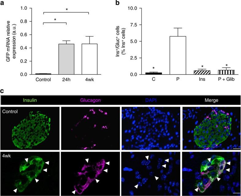 https://cdn.ncbi.nlm.nih.gov/pmc/blobs/ee59/4143961/e3383e6f3057/ncomms5639-f5.jpg