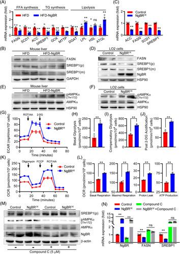 https://cdn.ncbi.nlm.nih.gov/pmc/blobs/ee5c/10069848/a95101ba180d/hc9-7-e0048-g006.jpg
