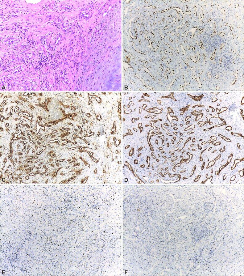 https://cdn.ncbi.nlm.nih.gov/pmc/blobs/ee5c/9019611/3e0a5b3aafaf/RJME-62-3-697-fig3.jpg