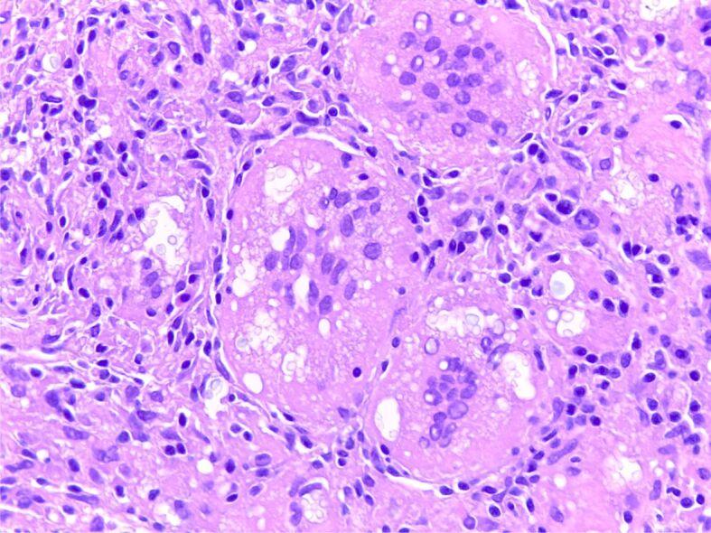 https://cdn.ncbi.nlm.nih.gov/pmc/blobs/ee5c/9019611/6291565e1000/RJME-62-3-697-fig9.jpg