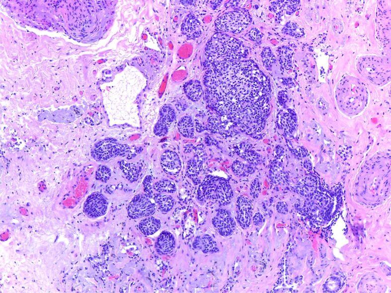 https://cdn.ncbi.nlm.nih.gov/pmc/blobs/ee5c/9019611/f6cb7875604d/RJME-62-3-697-fig12.jpg