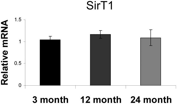 https://cdn.ncbi.nlm.nih.gov/pmc/blobs/ee5e/5609767/a2893a017476/pone.0185236.g006.jpg