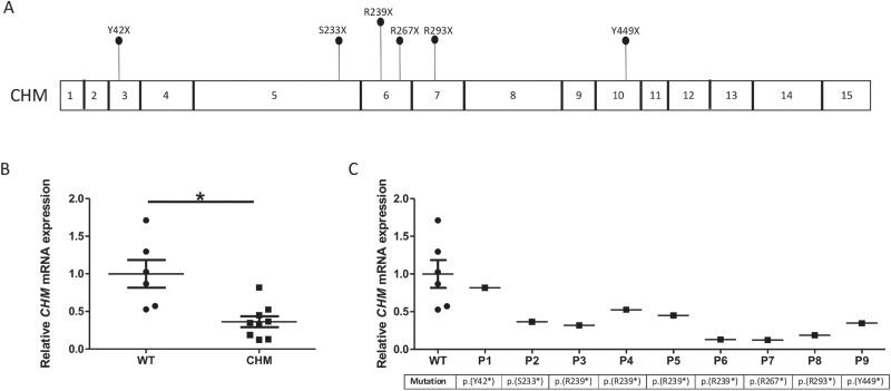 https://cdn.ncbi.nlm.nih.gov/pmc/blobs/ee60/6522067/ee63366799b0/ddz028f1.jpg