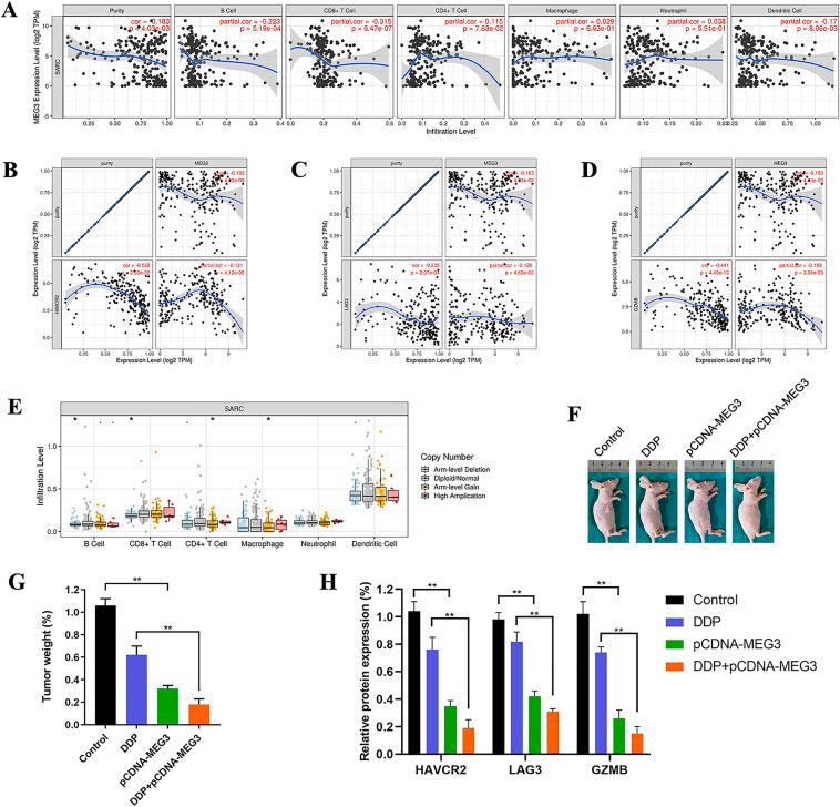 https://cdn.ncbi.nlm.nih.gov/pmc/blobs/ee61/10201553/152a6261a24e/gr3.jpg