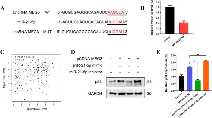 https://cdn.ncbi.nlm.nih.gov/pmc/blobs/ee61/10201553/fe3ae29f3f31/gr4.jpg