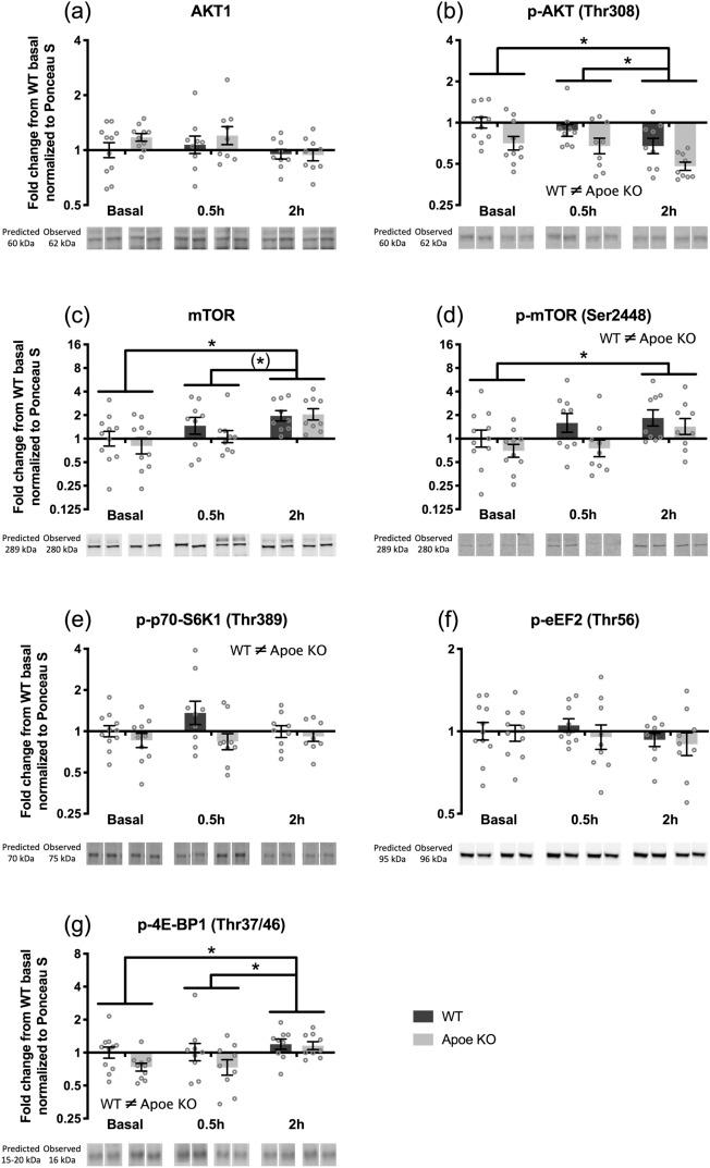 https://cdn.ncbi.nlm.nih.gov/pmc/blobs/ee62/8360952/118a80e1039d/41598_2021_96000_Fig6_HTML.jpg