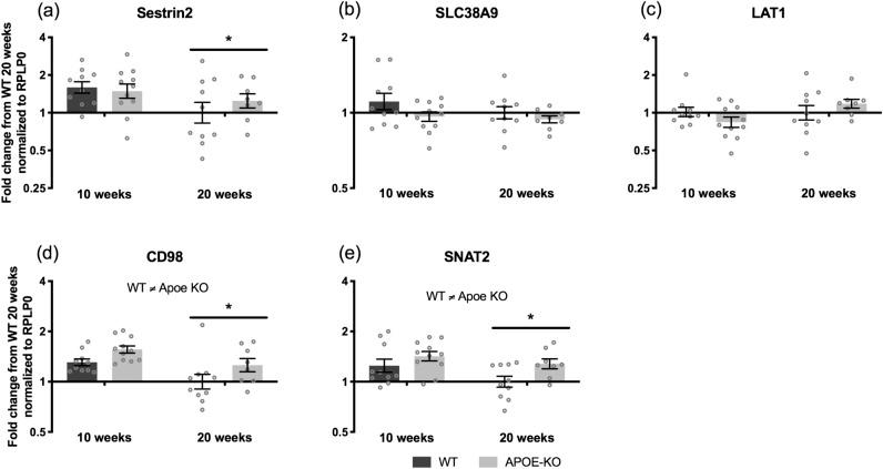 https://cdn.ncbi.nlm.nih.gov/pmc/blobs/ee62/8360952/9394dc16e67f/41598_2021_96000_Fig4_HTML.jpg