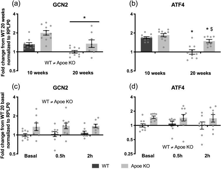 https://cdn.ncbi.nlm.nih.gov/pmc/blobs/ee62/8360952/f2d397aabc4c/41598_2021_96000_Fig5_HTML.jpg