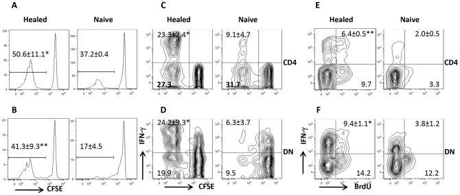 https://cdn.ncbi.nlm.nih.gov/pmc/blobs/ee64/4169504/5facec47986b/ppat.1004396.g002.jpg