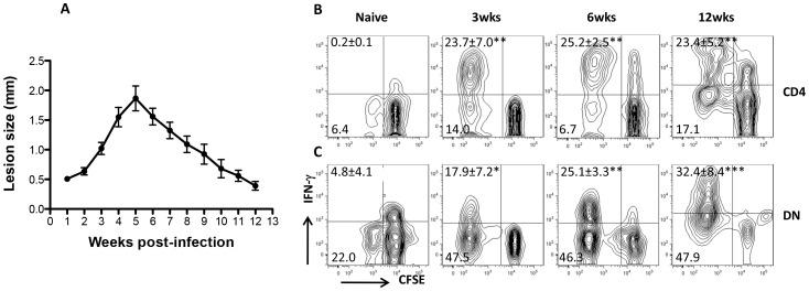 https://cdn.ncbi.nlm.nih.gov/pmc/blobs/ee64/4169504/8c1bcc079747/ppat.1004396.g006.jpg