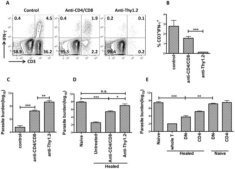 https://cdn.ncbi.nlm.nih.gov/pmc/blobs/ee64/4169504/9c0fb54664b5/ppat.1004396.g007.jpg