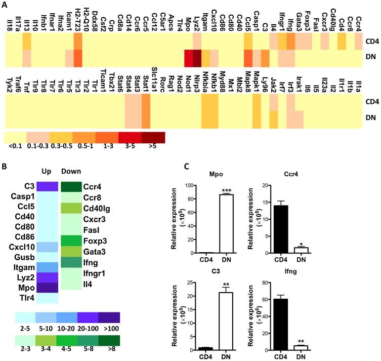 https://cdn.ncbi.nlm.nih.gov/pmc/blobs/ee64/4169504/b836dffa927a/ppat.1004396.g008.jpg