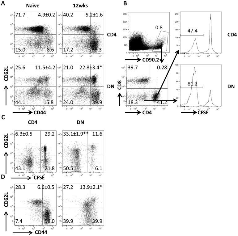 https://cdn.ncbi.nlm.nih.gov/pmc/blobs/ee64/4169504/e1377440f0b4/ppat.1004396.g003.jpg