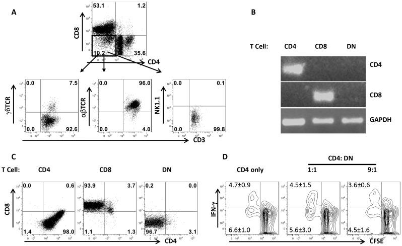 https://cdn.ncbi.nlm.nih.gov/pmc/blobs/ee64/4169504/f48480b83a11/ppat.1004396.g004.jpg