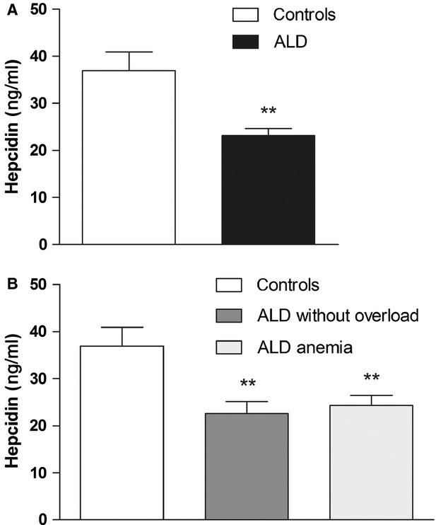 https://cdn.ncbi.nlm.nih.gov/pmc/blobs/ee67/4196659/de920a8b124b/jcmm0018-1840-f3.jpg
