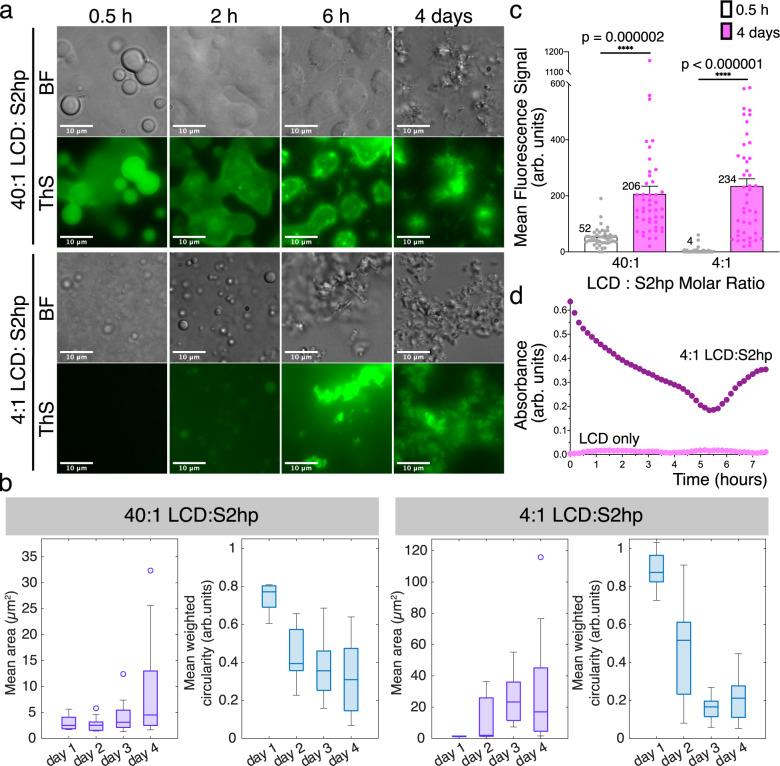 https://cdn.ncbi.nlm.nih.gov/pmc/blobs/ee68/10130151/caccb011327f/41467_2023_37865_Fig3_HTML.jpg
