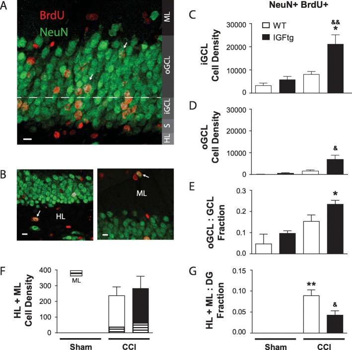 https://cdn.ncbi.nlm.nih.gov/pmc/blobs/ee6a/7147070/1c1ca454a0f1/40478_2020_925_Fig3_HTML.jpg