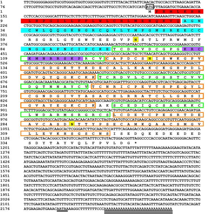 https://cdn.ncbi.nlm.nih.gov/pmc/blobs/ee6b/9358148/6611de787c18/fgene-13-938526-g001.jpg