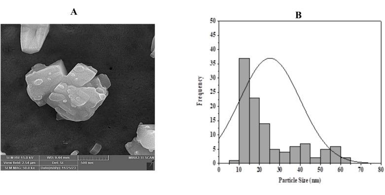 https://cdn.ncbi.nlm.nih.gov/pmc/blobs/ee6d/12009322/6edcca809326/41598_2025_97535_Fig2_HTML.jpg