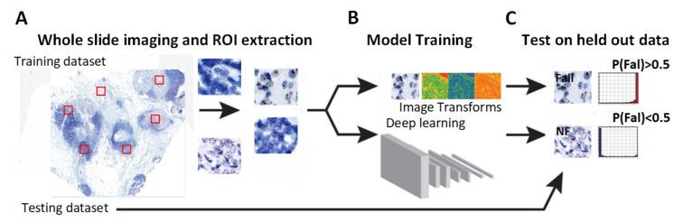 https://cdn.ncbi.nlm.nih.gov/pmc/blobs/ee6e/11430898/87bfcc5dab03/diagnostics-14-02089-g003.jpg