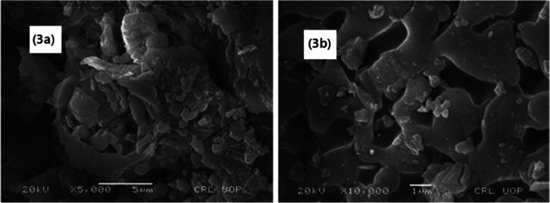 https://cdn.ncbi.nlm.nih.gov/pmc/blobs/ee70/7391843/cc203072b408/ao0c01680_0003.jpg