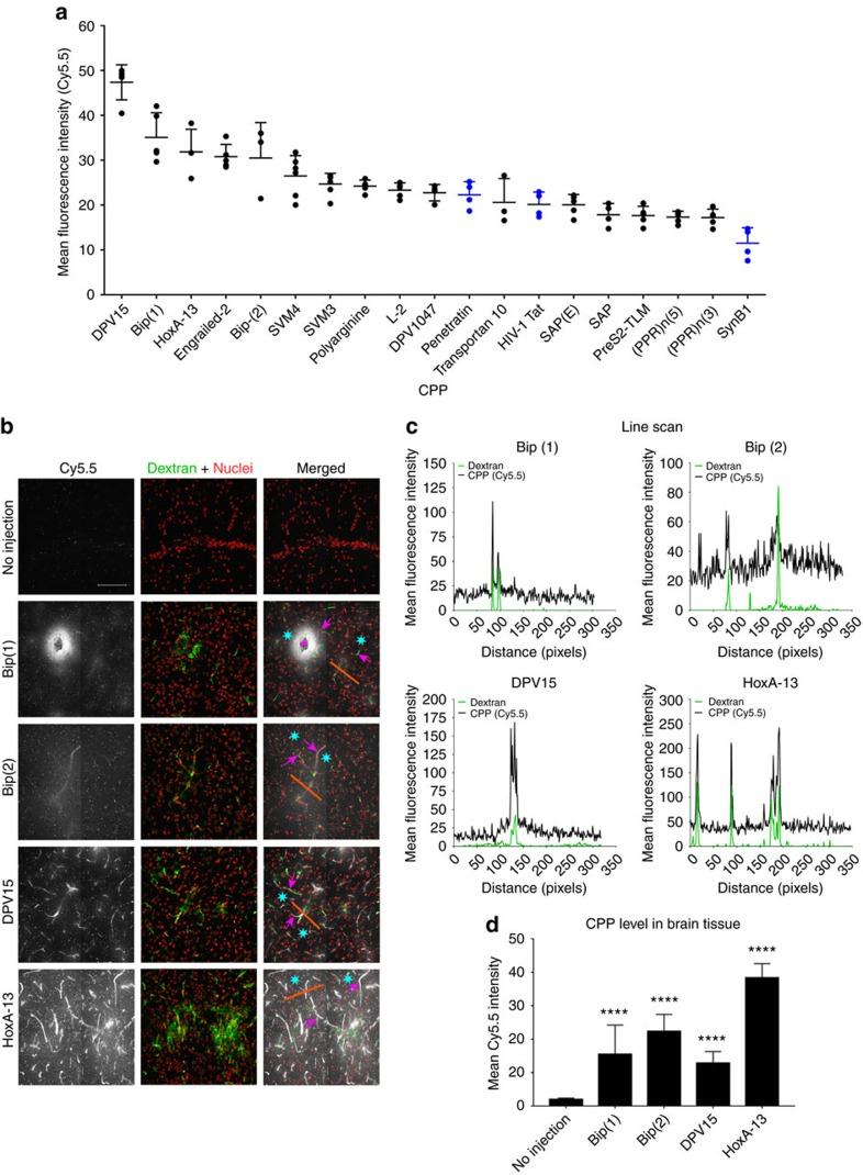 https://cdn.ncbi.nlm.nih.gov/pmc/blobs/ee72/5467173/7579bcd7c382/ncomms15623-f7.jpg