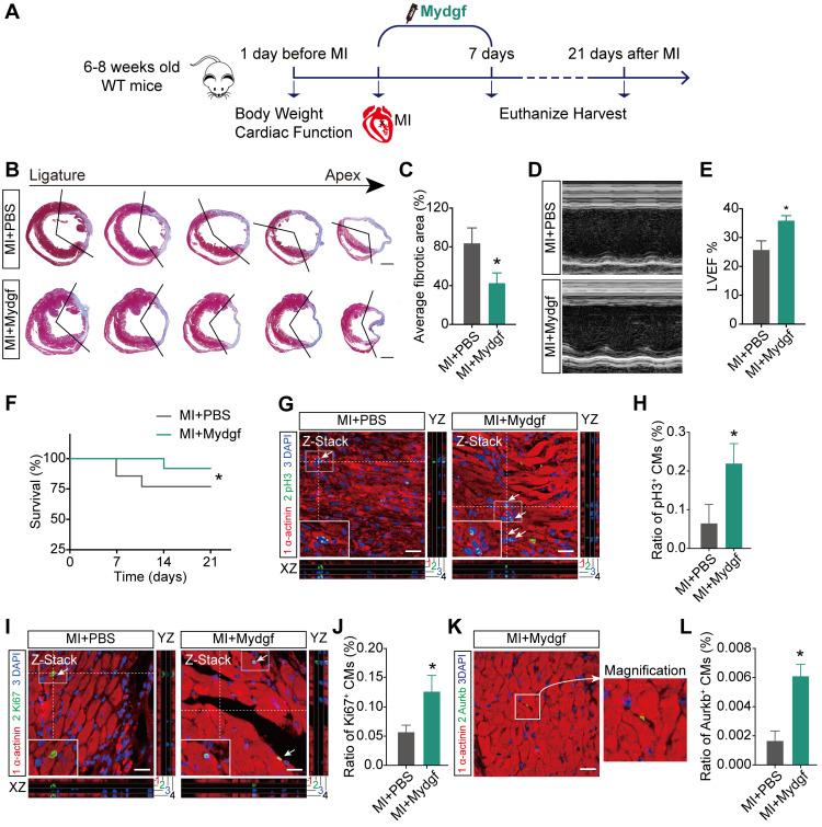 https://cdn.ncbi.nlm.nih.gov/pmc/blobs/ee72/7415811/aced3066fbec/thnov10p9100g005.jpg