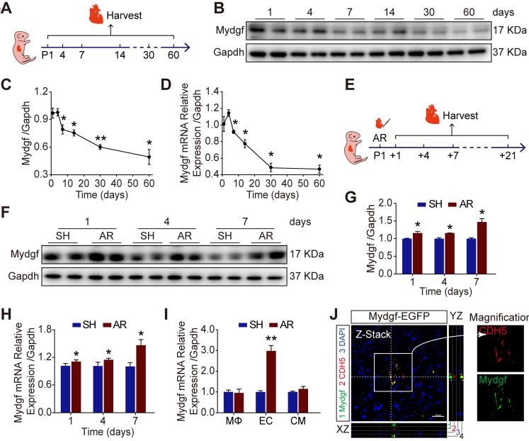 https://cdn.ncbi.nlm.nih.gov/pmc/blobs/ee72/7415811/afdc8fc9f3d8/thnov10p9100g001.jpg