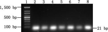 https://cdn.ncbi.nlm.nih.gov/pmc/blobs/ee73/7127796/27012879ee14/gr1.jpg
