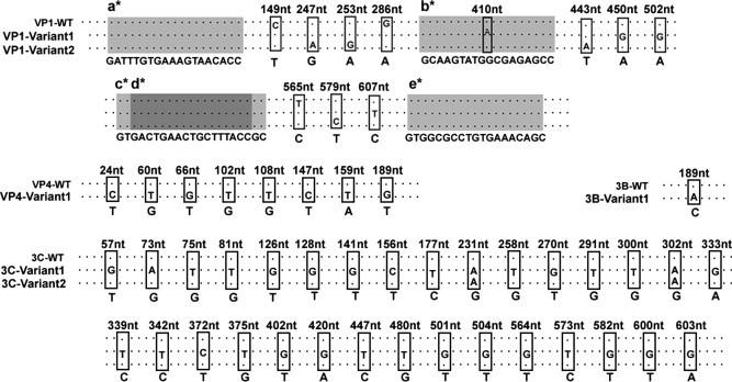 https://cdn.ncbi.nlm.nih.gov/pmc/blobs/ee73/7127796/4aff35f55493/gr6.jpg
