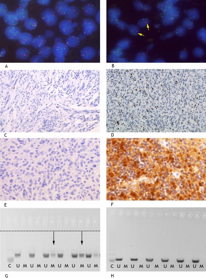 https://cdn.ncbi.nlm.nih.gov/pmc/blobs/ee75/8361078/7d3306a53fed/41598_2021_95956_Fig1_HTML.jpg