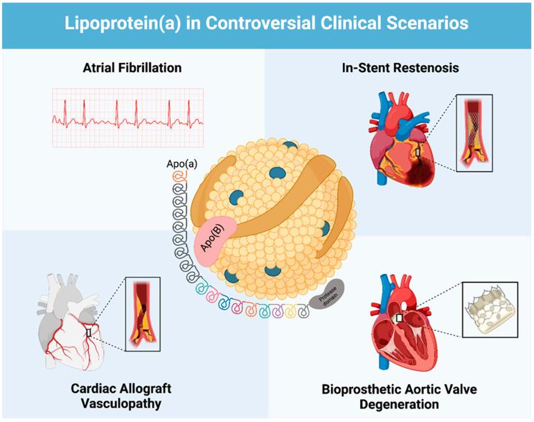 https://cdn.ncbi.nlm.nih.gov/pmc/blobs/ee76/11507037/eb908fdf18d9/ijms-25-11029-g001.jpg